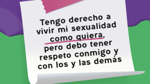 En la imagen se observa la ilustración de una joven en silla de ruedas, y alrededor de ella íconos de métodos anticonceptivos, genitales internos femeninos y masculinos, símbolos de géneros y de orientaciones sexuales. Debajo de ella se inscribe el texto: Educación Integral de la Sexualidad¿Para qué?