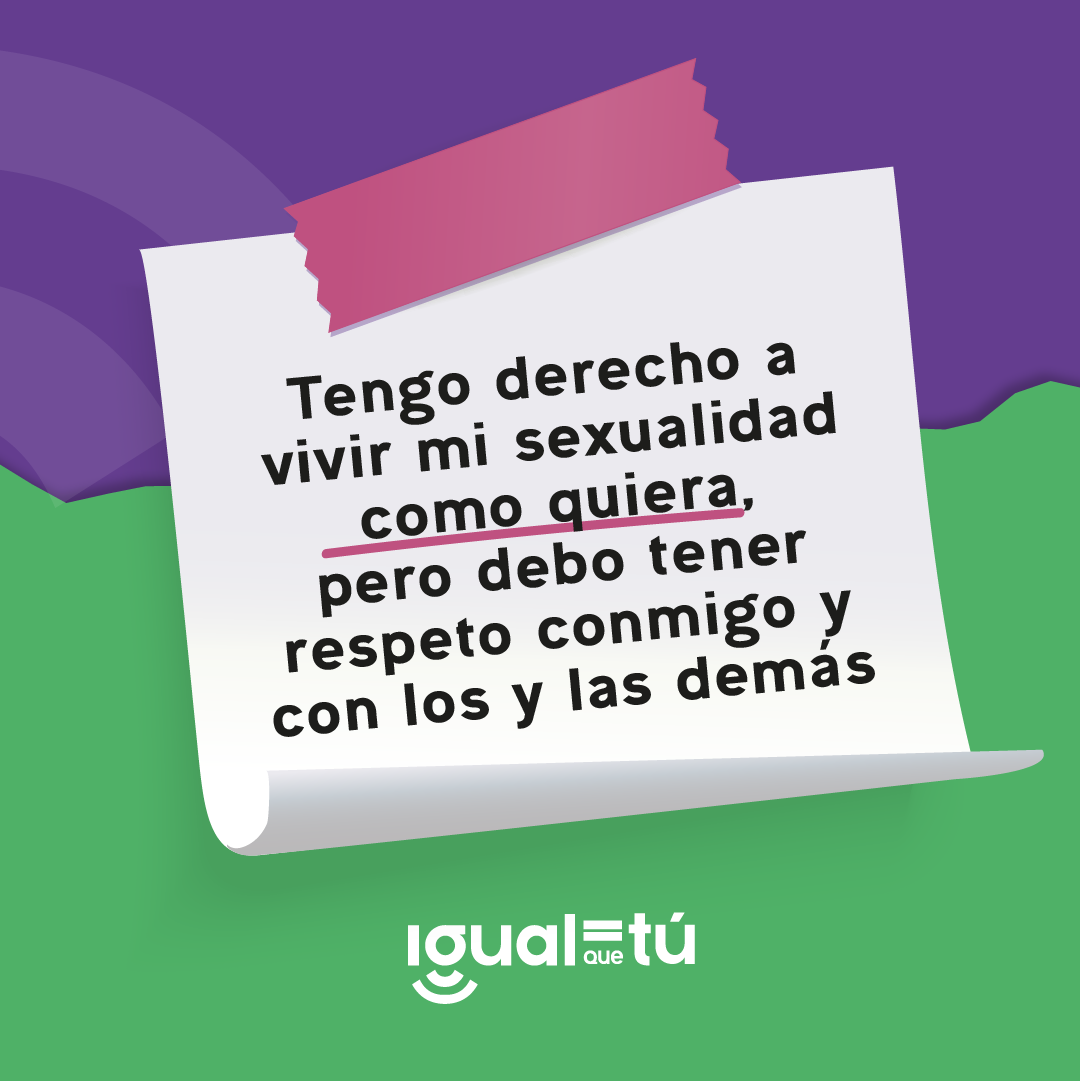 En la imagen se observa la ilustración de una joven en silla de ruedas, y alrededor de ella íconos de métodos anticonceptivos, genitales internos femeninos y masculinos, símbolos de géneros y de orientaciones sexuales. Debajo de ella se inscribe el texto: Educación Integral de la Sexualidad¿Para qué?