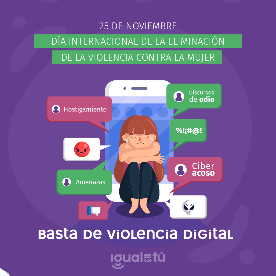 En la imagen se observa la ilustración de una mujer llorando. Encima de ella, se ubica un texto que dice: "25 de noviembre. Día internacional de la eliminación de la violenia contra la mujer" y debajo "Basta de violencia digital", al rededor se leen palabras alusivas a la violencia digital.